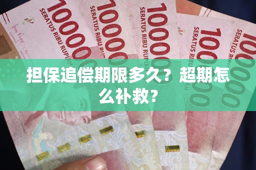 济南担保追偿期限多久？超期怎么补救？