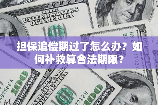 济南担保追偿期过了怎么办？如何补救算合法期限？
