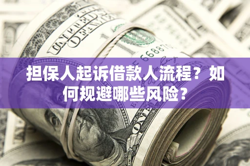 济南担保人起诉借款人流程？如何规避哪些风险？